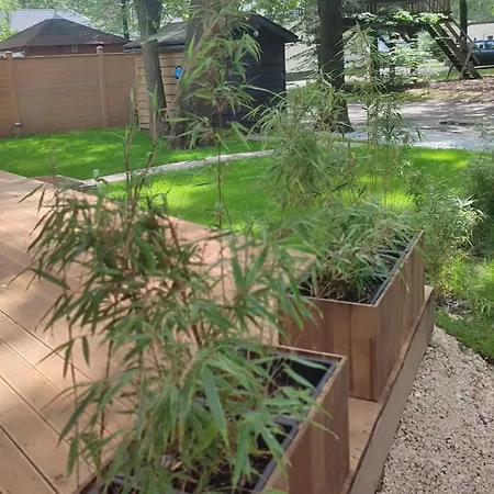 Luxe Midden In De *